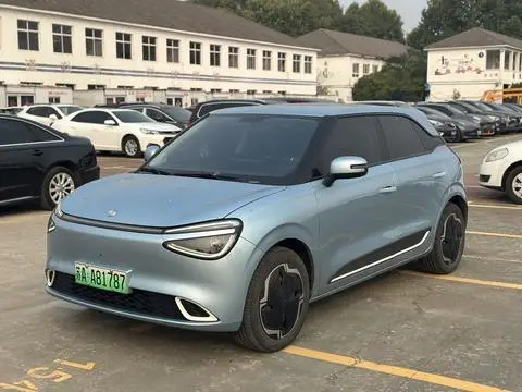 Dongfeng Nammi 01 2024