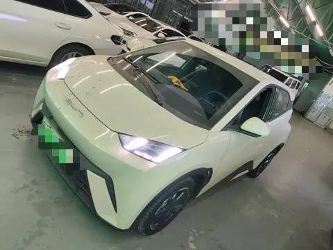 BYD Seagull 2024