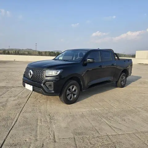 Great Wall Poer 2023
