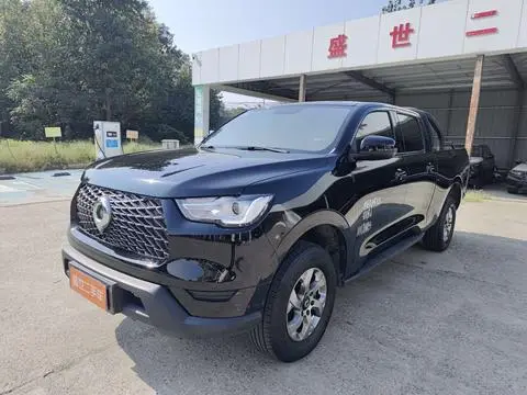 Great Wall Poer 2021