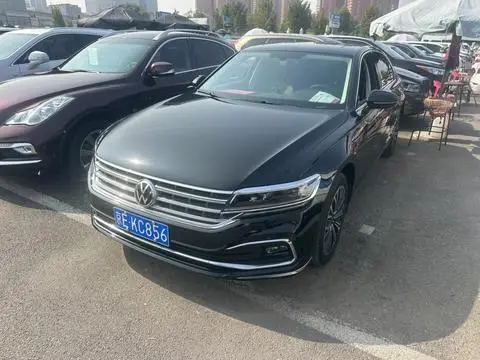 Volkswagen 辉昂 2021