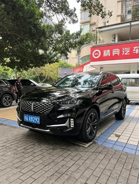 Wey VV6 2020