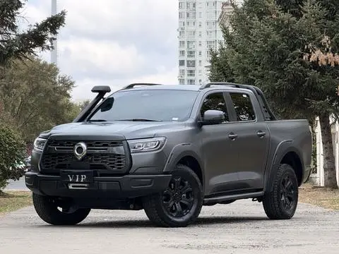 Great Wall Poer 2024