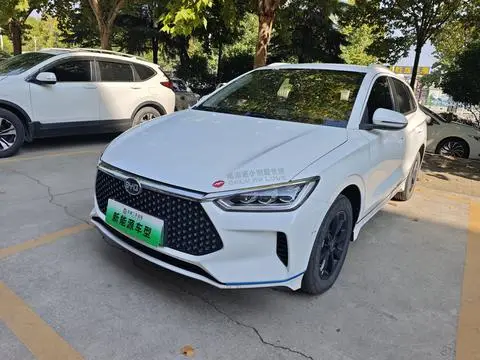 BYD e2 2019
