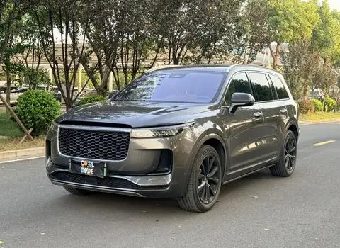 Li ONE 2021