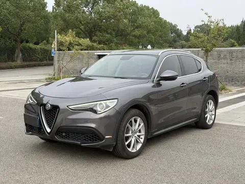 Alfa Romeo Stelvio斯坦维 2017