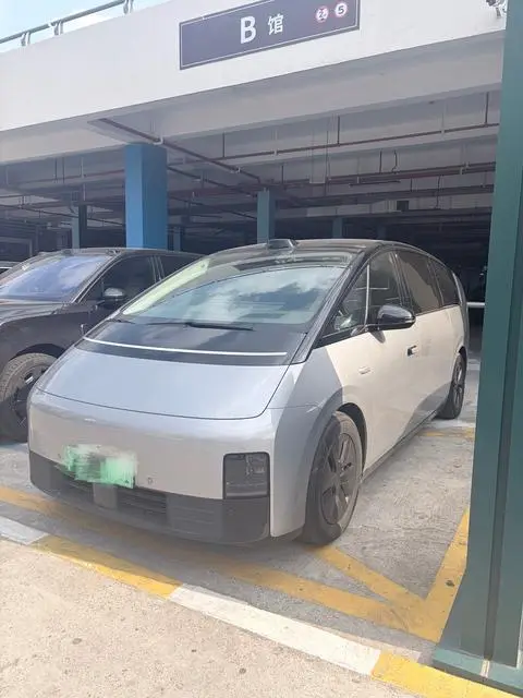 Li MEGA 2024