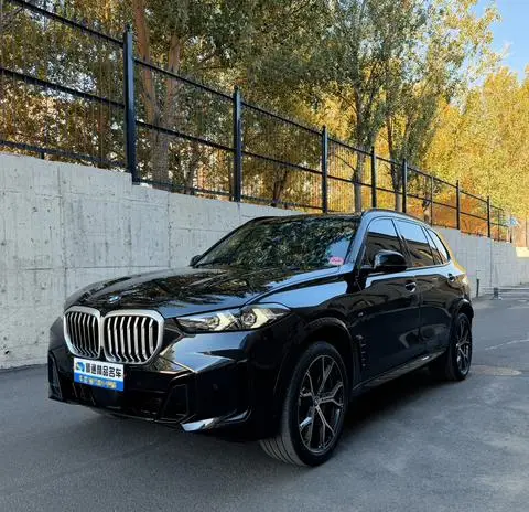 BMW X5 2025