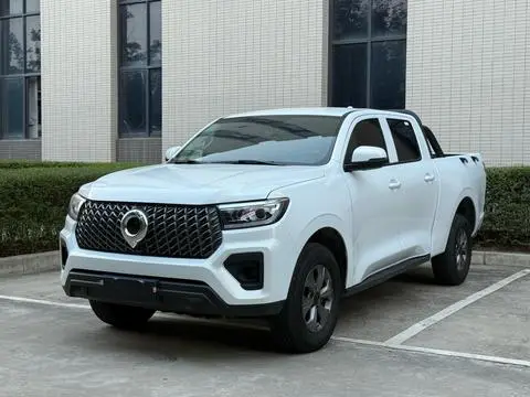 Great Wall Poer 2025
