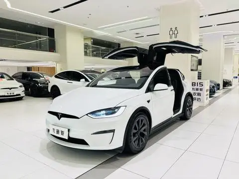 Tesla Model X 2023