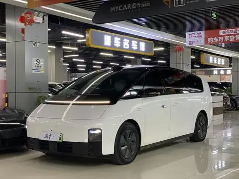 Li MEGA 2024