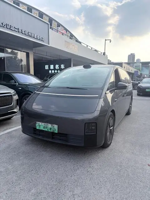 Li MEGA 2024