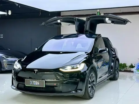 Tesla Model X 2023