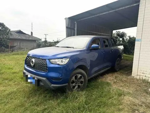 Great Wall Poer 2023