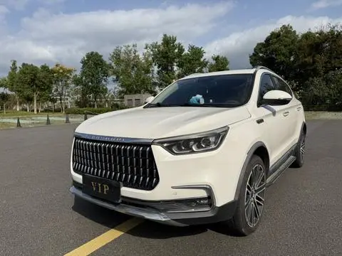 Leopaard Mattu 2018