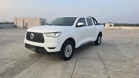 Great Wall Poer 2019