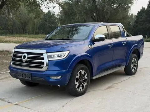 Great Wall Poer 2019