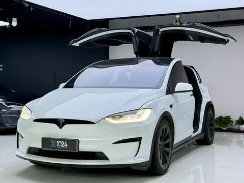 Tesla Model X 2023