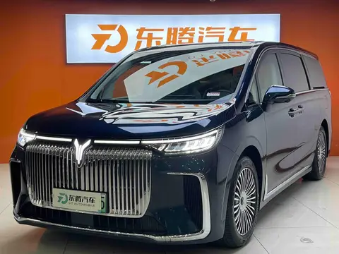Voyah Dream 2025