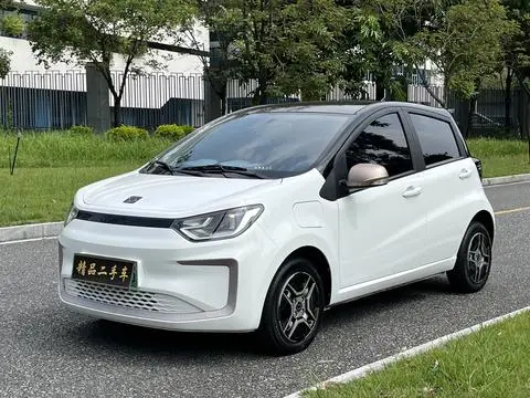 JAC (Sihao) 花仙子 2021