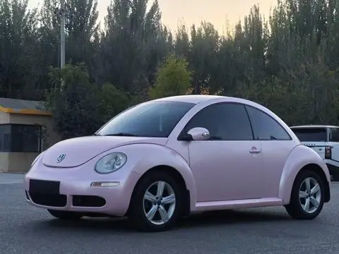 Volkswagen 甲壳虫 2010