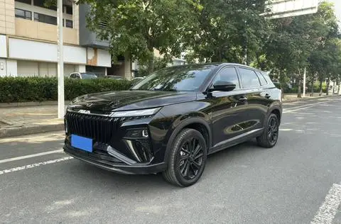 Dongfeng 皓极 2025