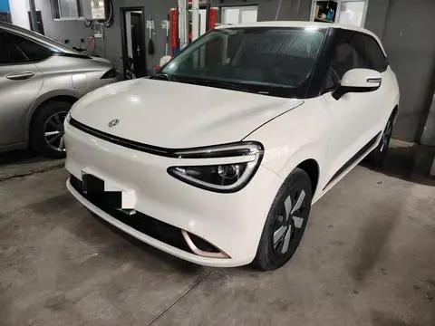 Dongfeng Nammi 01 2024
