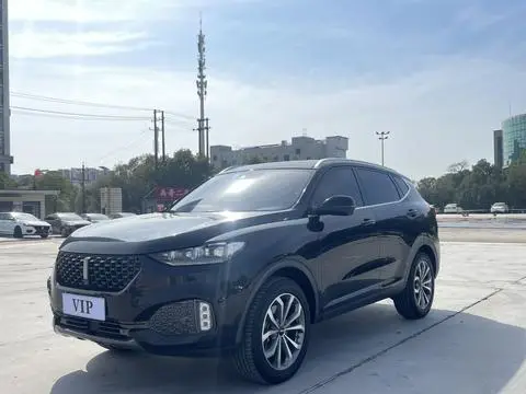Wey VV6 2020
