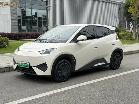 BYD Seagull 2025