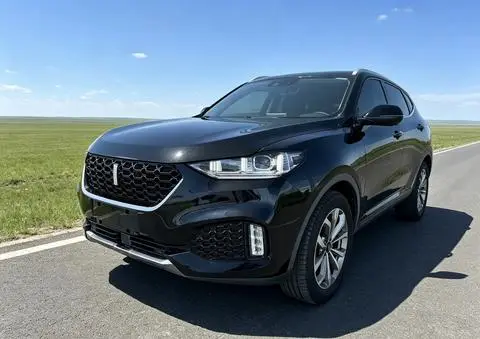 Wey VV6 2018