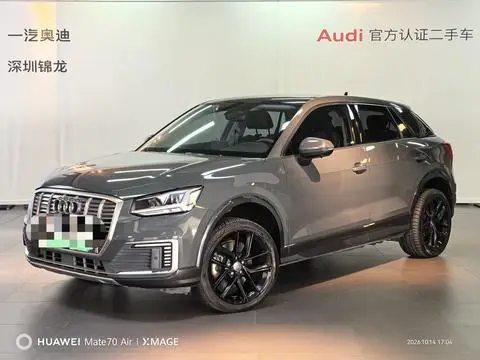 Audi Q2L e-tron 2019