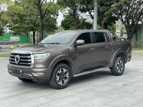 Great Wall Poer 2021