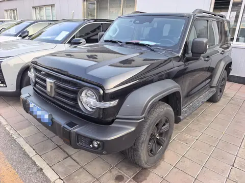 TANK 300 2024