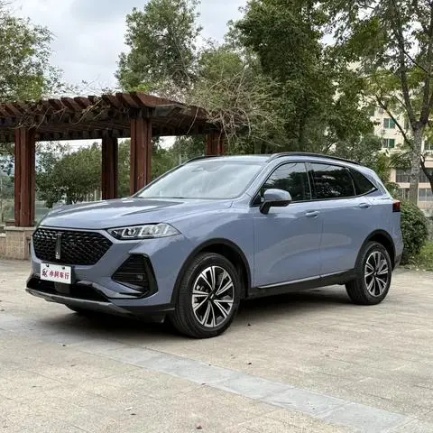 Wey 拿铁DHT 2022
