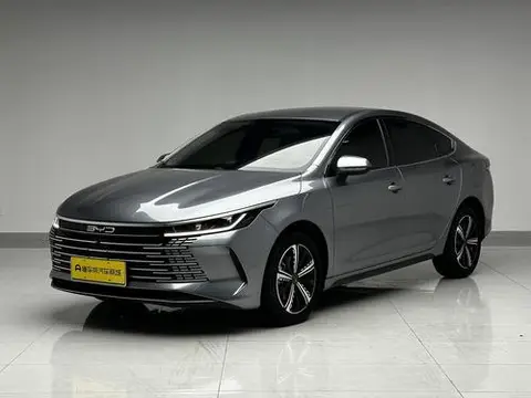 BYD Destroyer 05 2024