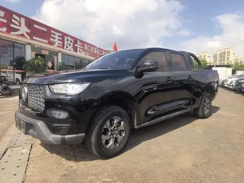 Great Wall 炮 2021