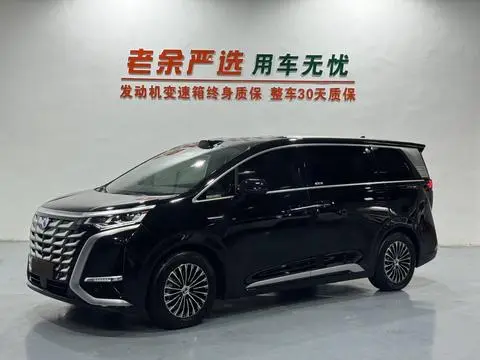 Denza D9 DM 2025