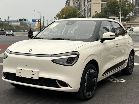 Dongfeng Nammi 01 2026