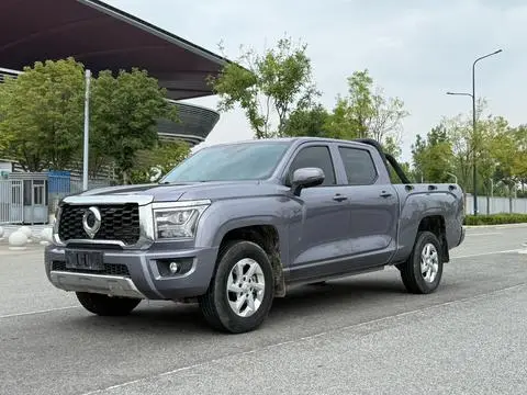 Great Wall King Kong Poer 2024