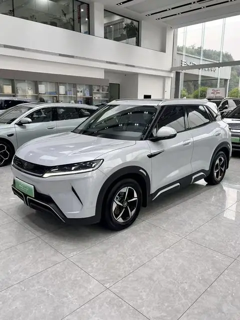 BYD 元UP 2024
