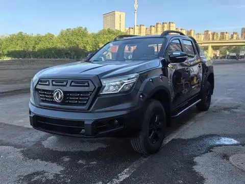 Dongfeng 锐骐6 2020
