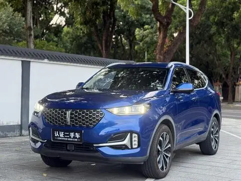 Wey VV6 2021
