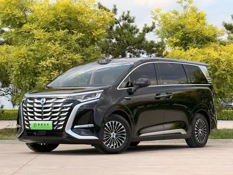 Denza D9 DM 2025