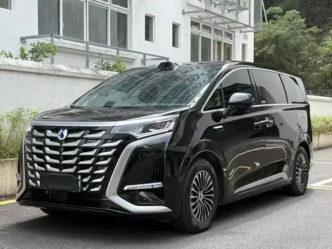 Denza D9 DM 2025