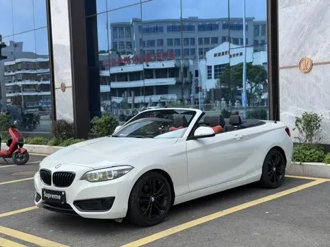 BMW 2 Series 2019