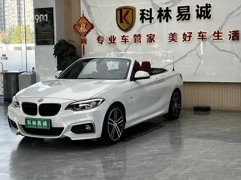 BMW 2 Series 2019