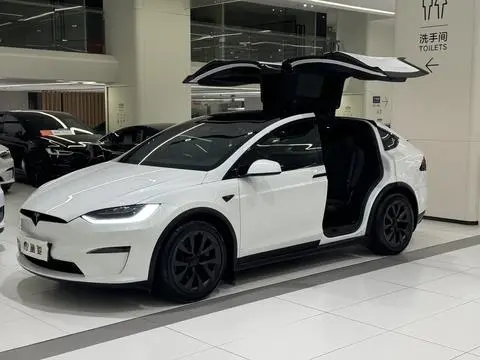 Tesla Model X 2023