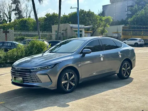 BYD Destroyer 05 2024