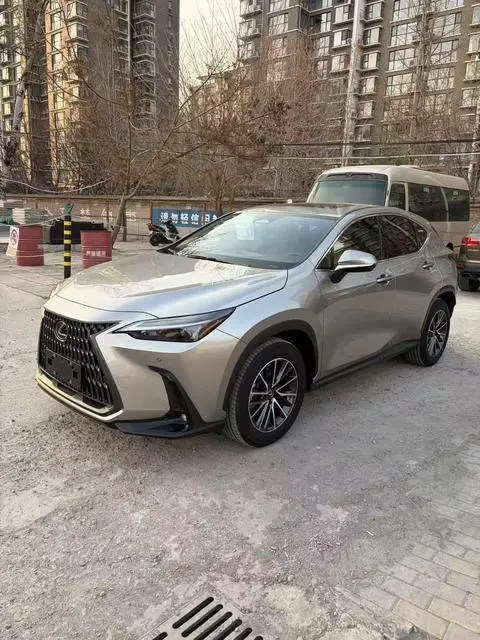 Lexus NX 2024