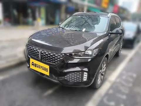 Wey VV6 2020